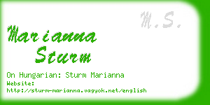 marianna sturm business card